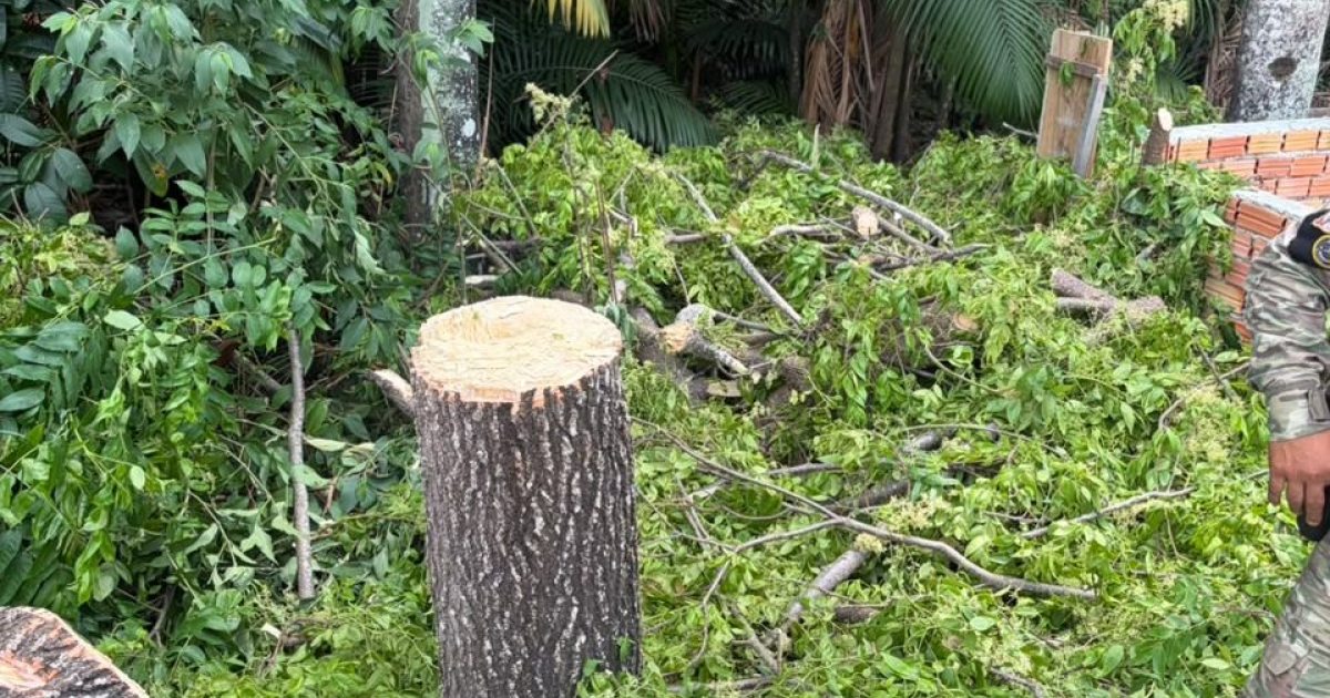 Abordagem em terreno no Nova Cidade identifica retirada de vegetação em APP de Manaus